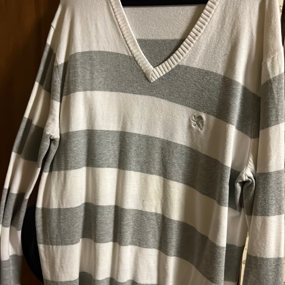 Express V-Neck Sweater